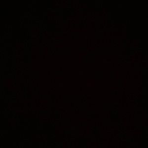 Meet your Posher, Rosemary